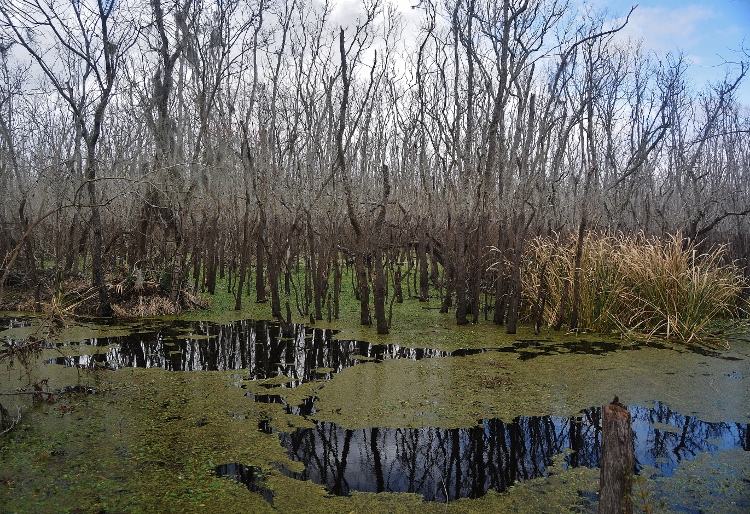 state park landscape